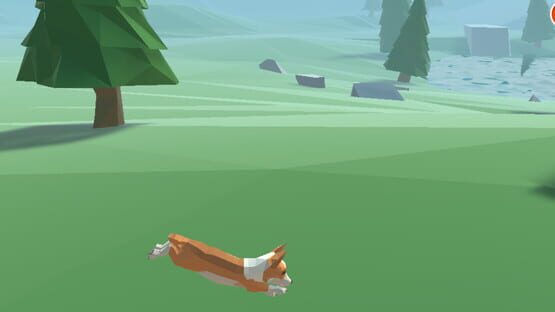 Screenshot Miracle Field
