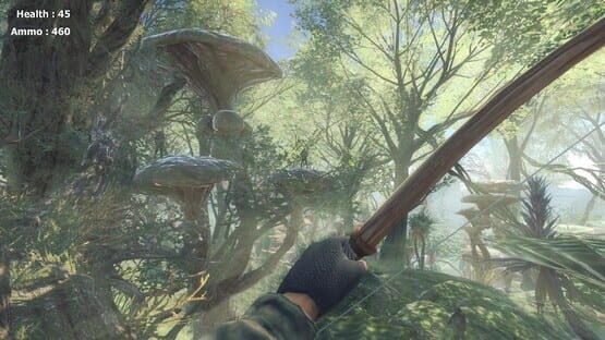 Screenshot Missing Bullet