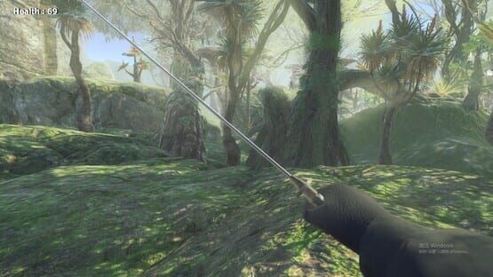Screenshot Missing Bullet