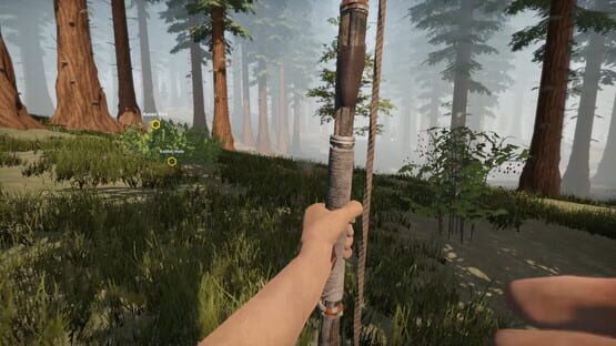 Screenshot Missing Plane: Survival