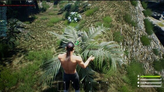 Screenshot Mizz Survival