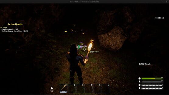 Screenshot Mizz Survival