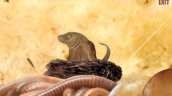 Screenshot Monty the Komodo Dragon