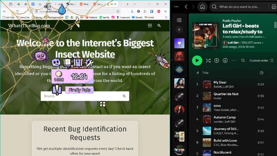 Screenshot My Little Spider