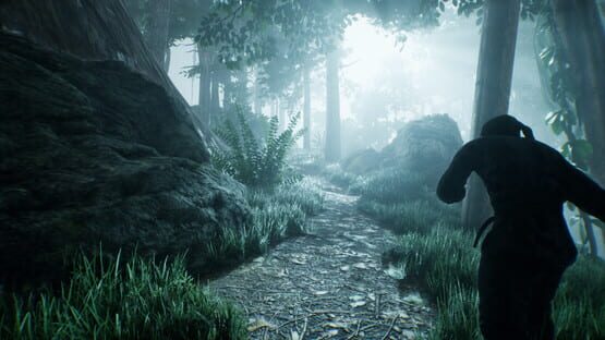Screenshot Ninja: The Lost Legacy