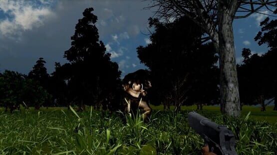 Screenshot Park Walk