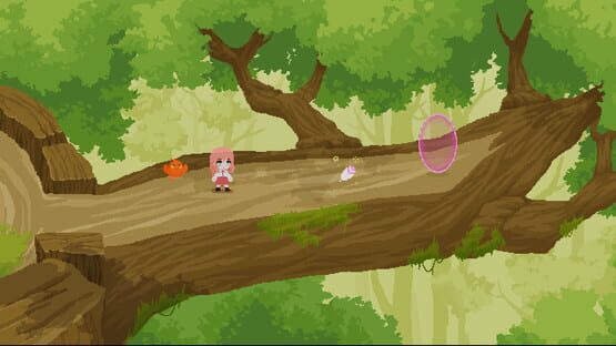Screenshot Parrot Hero