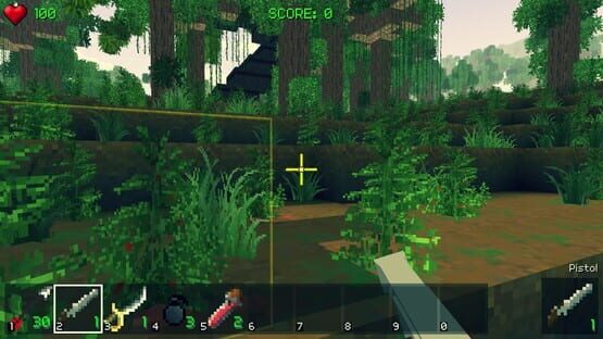 Screenshot Piratecraft