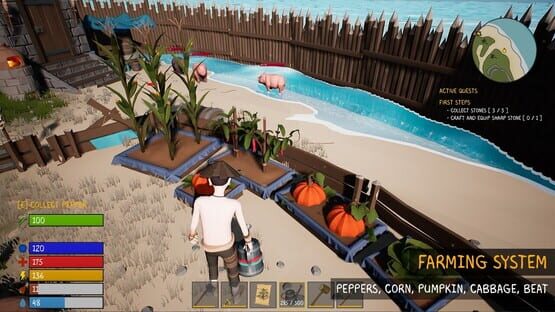 Screenshot PirateFi