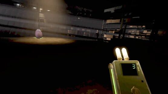 Screenshot Pitfall Protocol