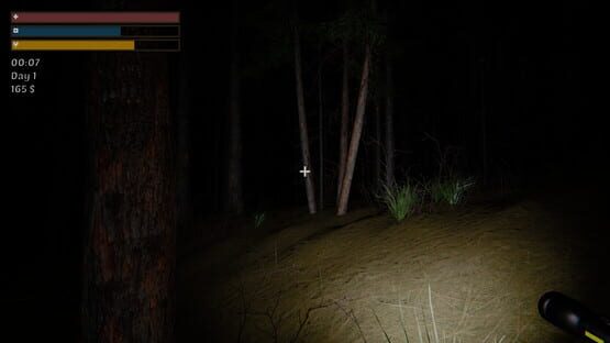 Screenshot Pohinki Simulator