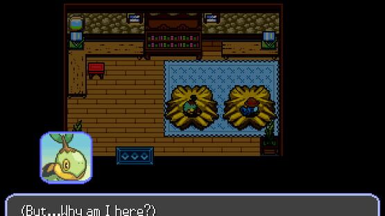 Screenshot Pokémon: A Star in the Desert