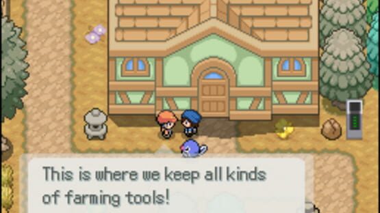 Screenshot Pokémon Floral Tempus EX