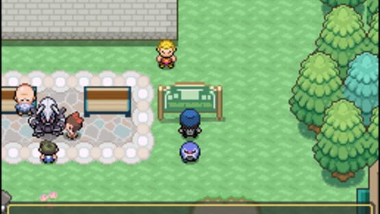 Screenshot Pokémon Floral Tempus EX