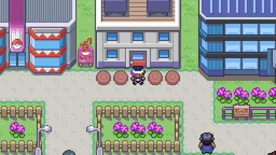 Screenshot Pokemon Luminous Lands