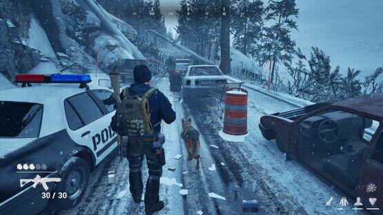 Screenshot Postfrost