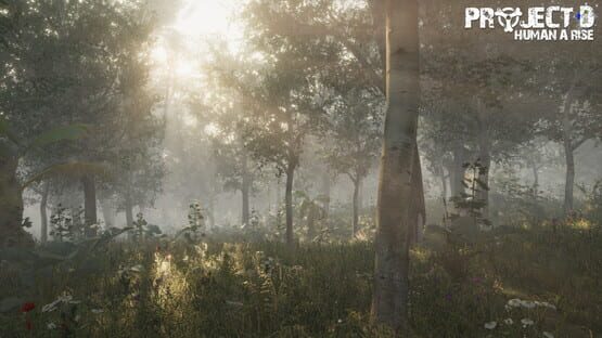 Screenshot Project D: Human Risen