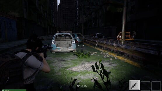 Screenshot Project: Debug