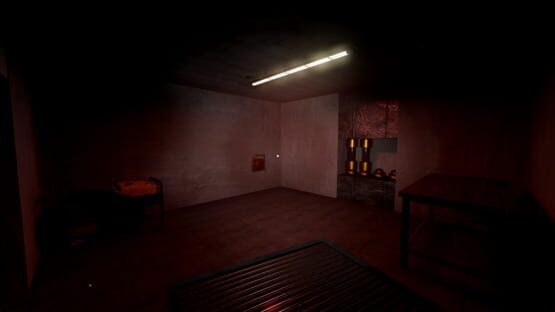 Screenshot Ravenmoore Psychiatric Hospital