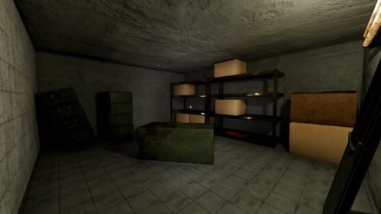 Screenshot Ravenmoore Psychiatric Hospital