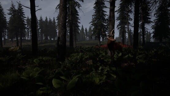 Screenshot Reborn: Survival