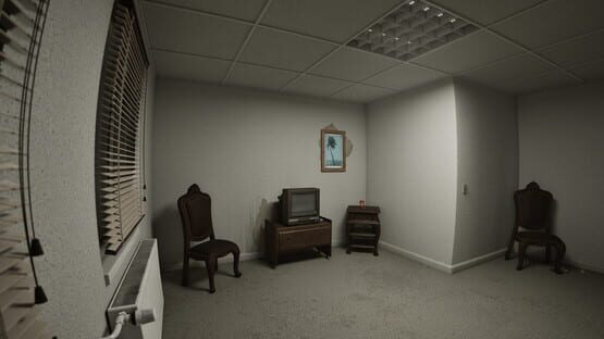 Screenshot Reciprocity: The Liminal Void