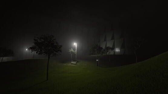 Screenshot Reciprocity: The Liminal Void