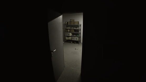 Screenshot Reciprocity: The Liminal Void