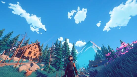 Screenshot Rework