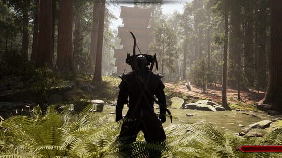 Screenshot Ronin Awakening