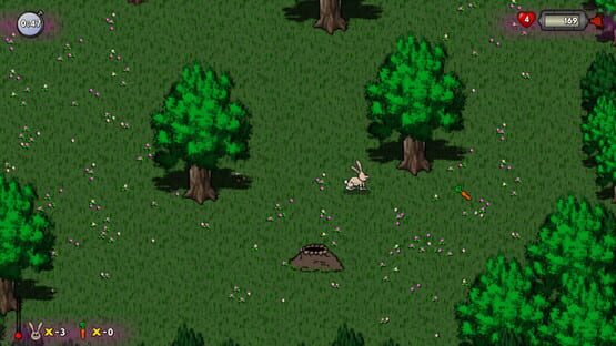 Screenshot Run Hare Run