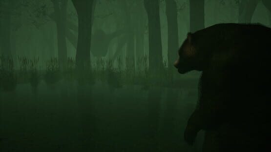 Screenshot Shadow Warren