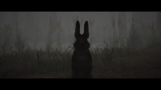 Screenshot Shadow Warren