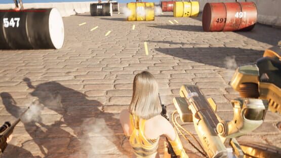 Screenshot Shoot The Barrel