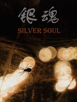 Cover Silver Soul