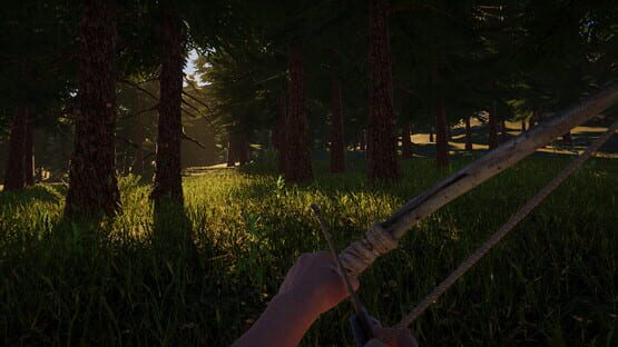Screenshot Singularity