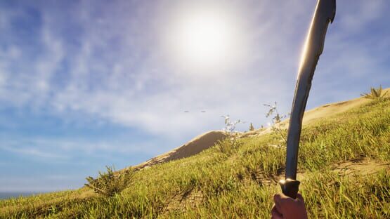 Screenshot Singularity