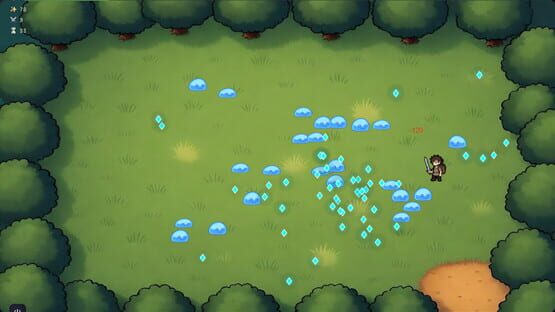 Screenshot Slimepatch