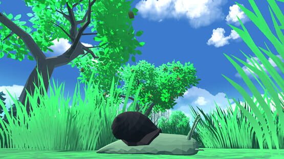 Screenshot Snail Simulator