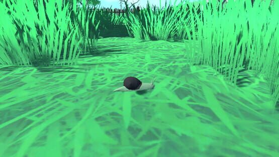Screenshot Snail Simulator