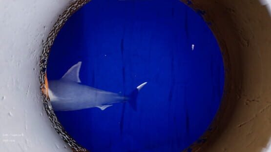 Screenshot Submersible