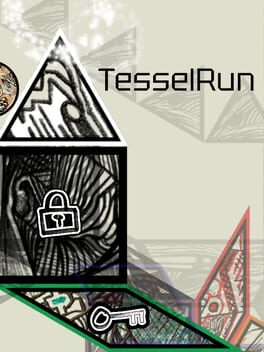 Cover Tessel Run