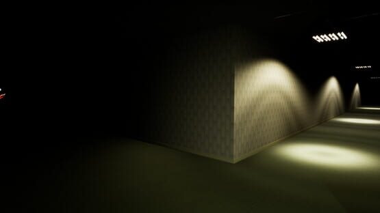 Screenshot The Backrooms Project