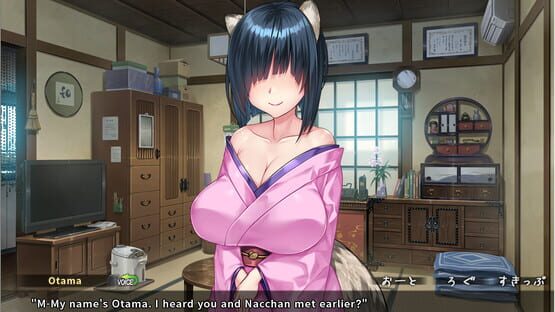 Screenshot The Kinky Kitsune and The Tantalizing Tanuki