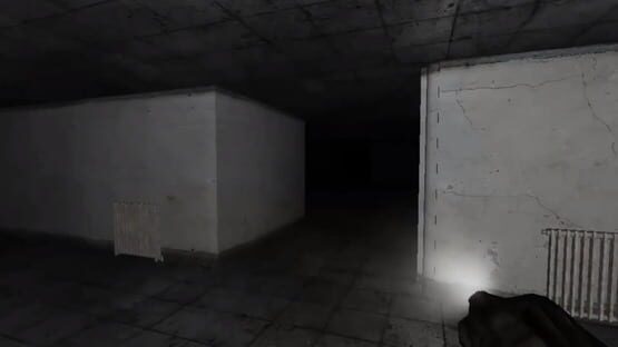 Screenshot The Rake: Back To Asylum