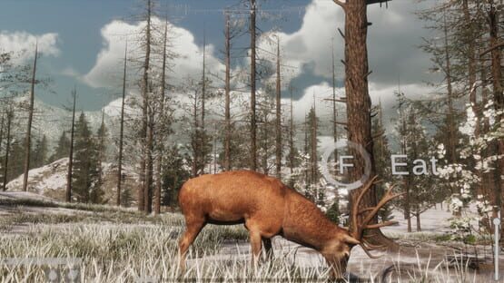 Screenshot The Wilds