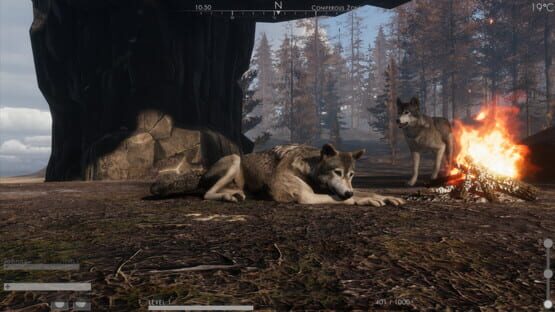Screenshot The Wilds