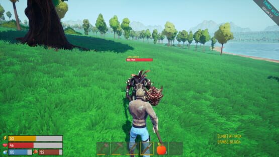Screenshot Third Wild