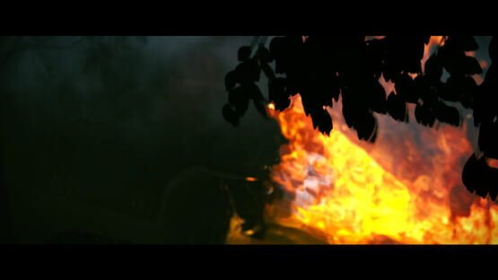 Screenshot Through the Veil