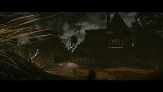 Screenshot Through the Veil